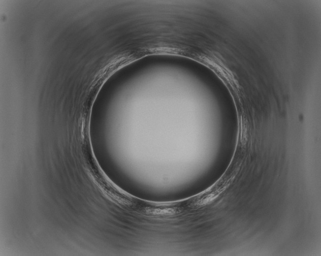 X0000086090157200704091335