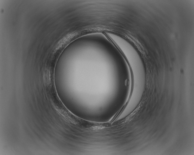 X0000086090158200704091335