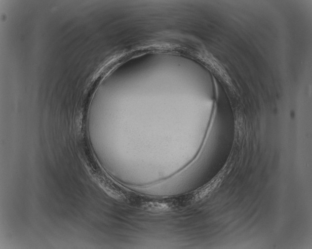 X0000086090159200704091336