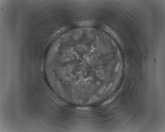 X0000086090161200704091336