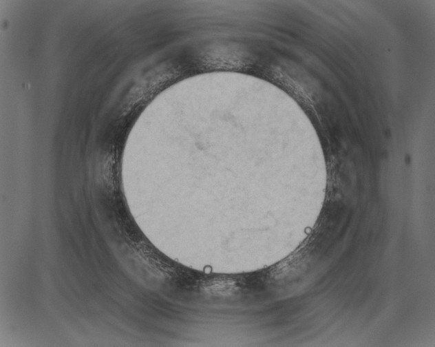 X0000086090162200704091336