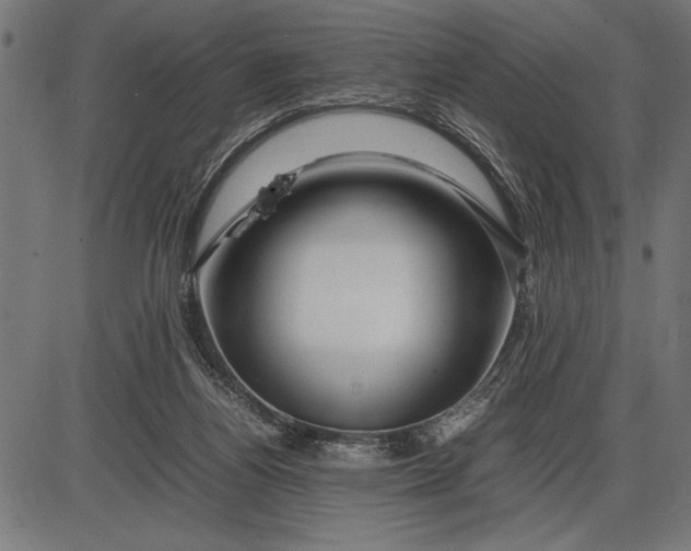 X0000086090164200704091336