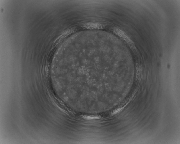 X0000086090165200704091336