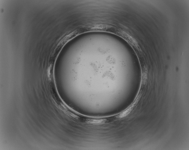 X0000086090166200704091336