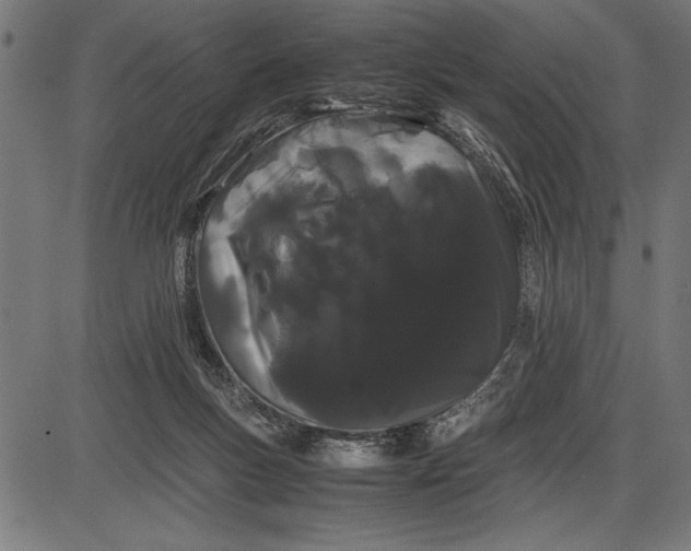 X0000086090167200704091336