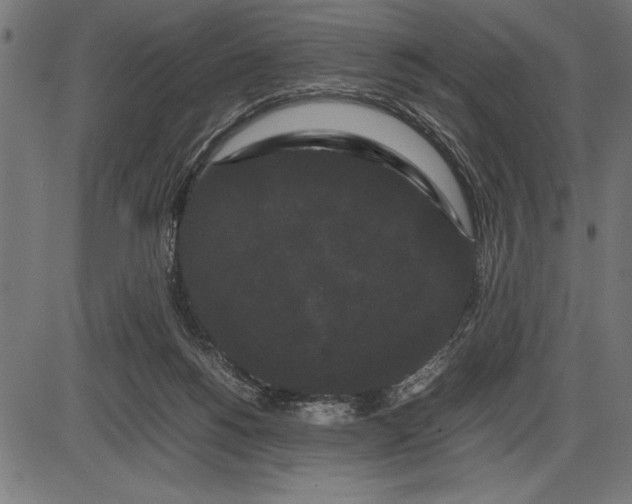 X0000086090168200704091336