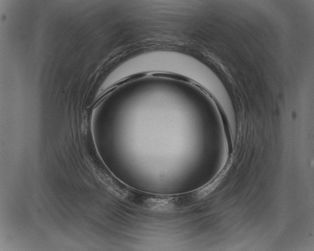 X0000086090170200704091336