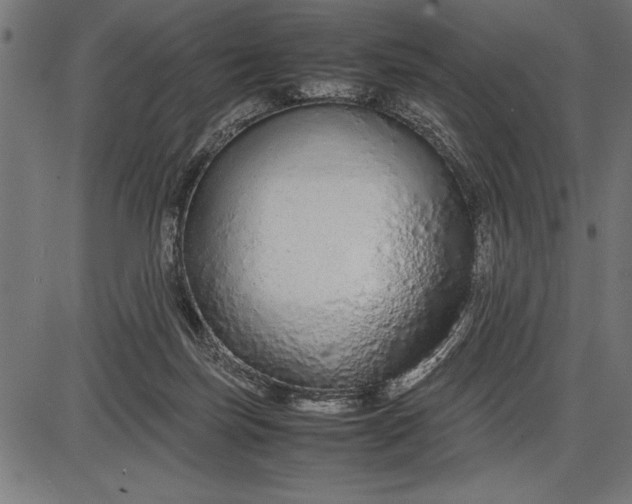 X0000086090171200704091336