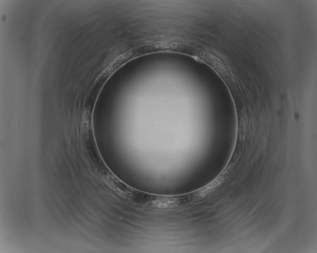 X0000086090172200704091336