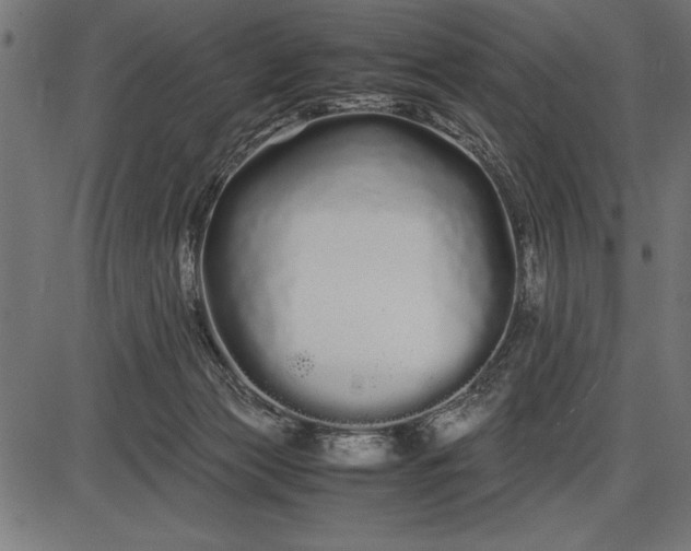 X0000086090173200704091336