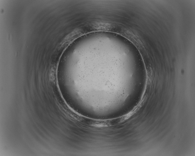 X0000086090175200704091336