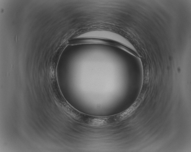 X0000086090176200704091336