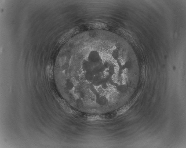 X0000086090177200704091336