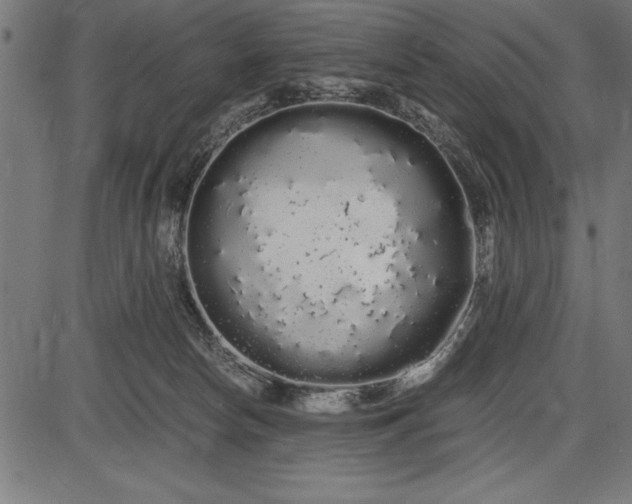 X0000086090178200704091336