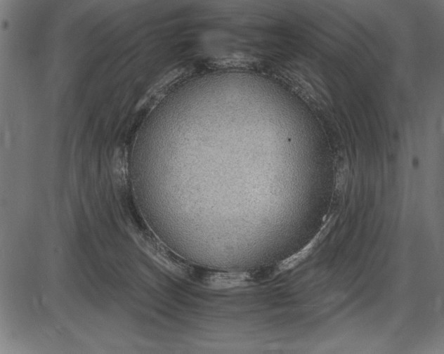 X0000086090179200704091336