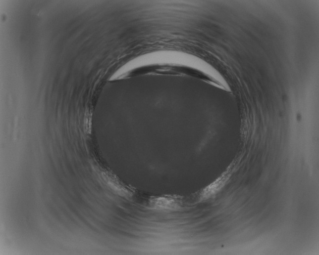 X0000086090180200704091336