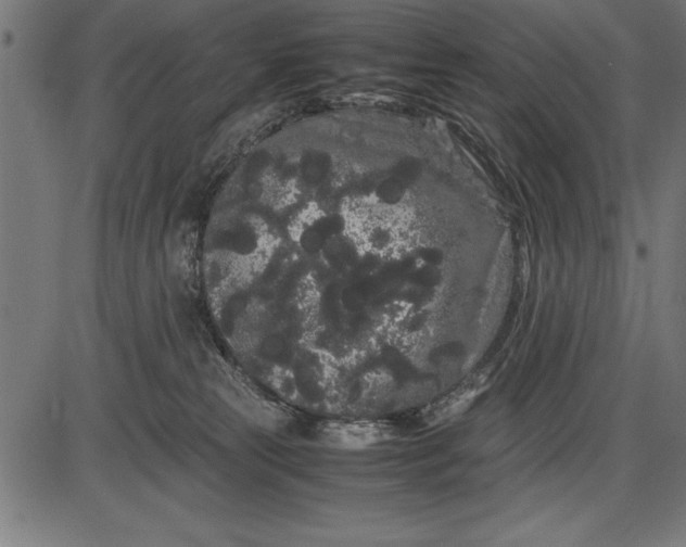 X0000086090181200704091336