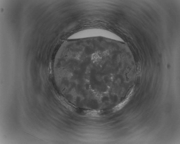 X0000086090182200704091336