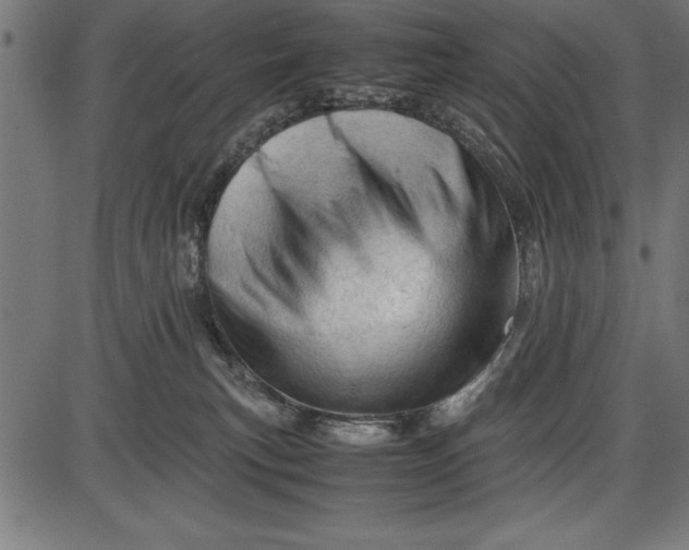 X0000086090183200704091336