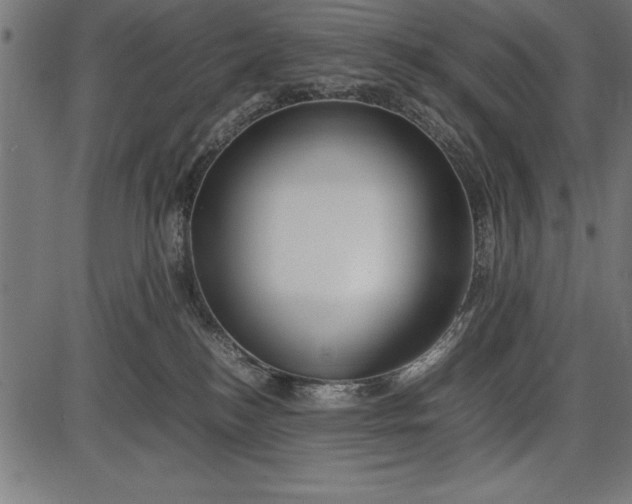 X0000086090184200704091336