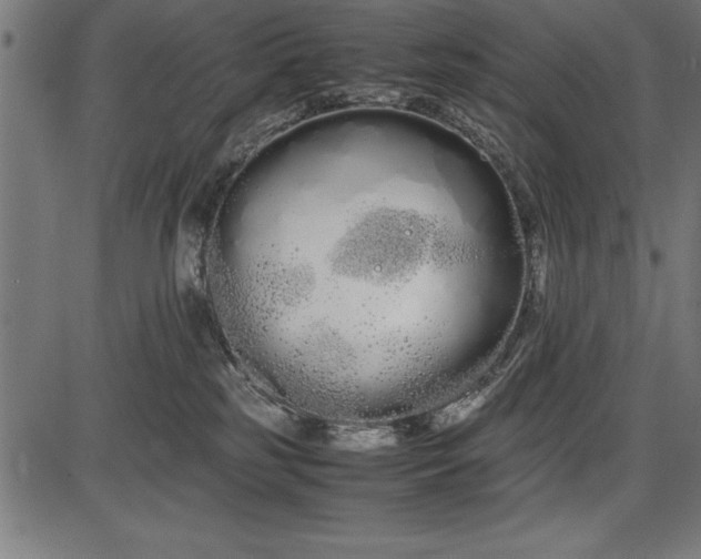 X0000086090185200704091336