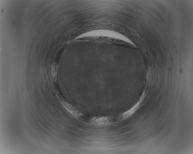 X0000086090186200704091336