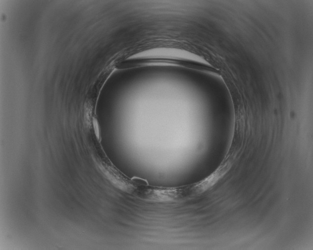 X0000086090188200704091336