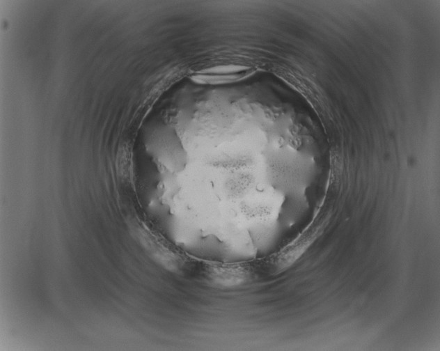 X0000086090189200704091336