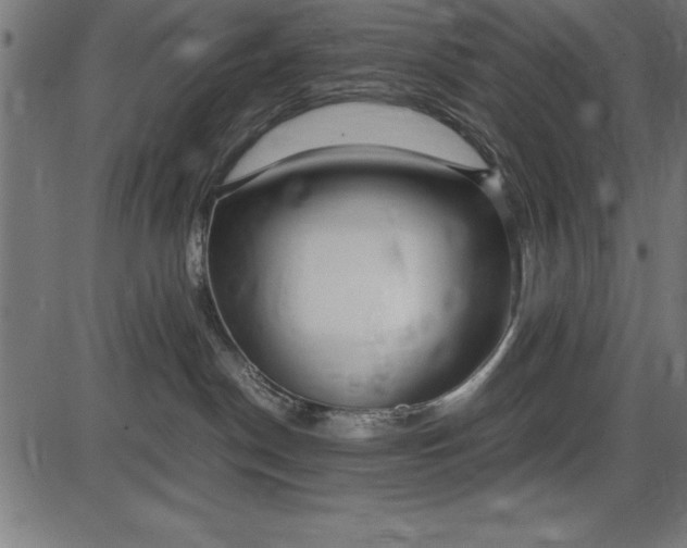 X0000086090190200704091336