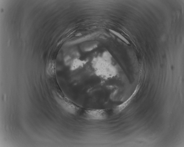 X0000086090191200704091336