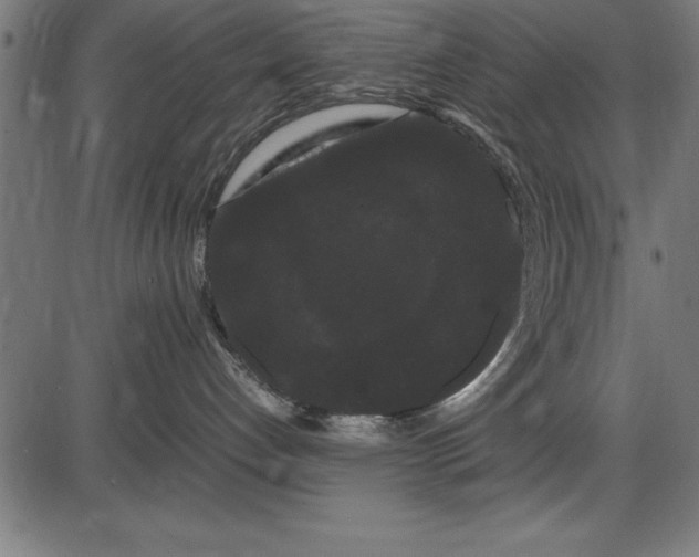 X0000086090192200704091336