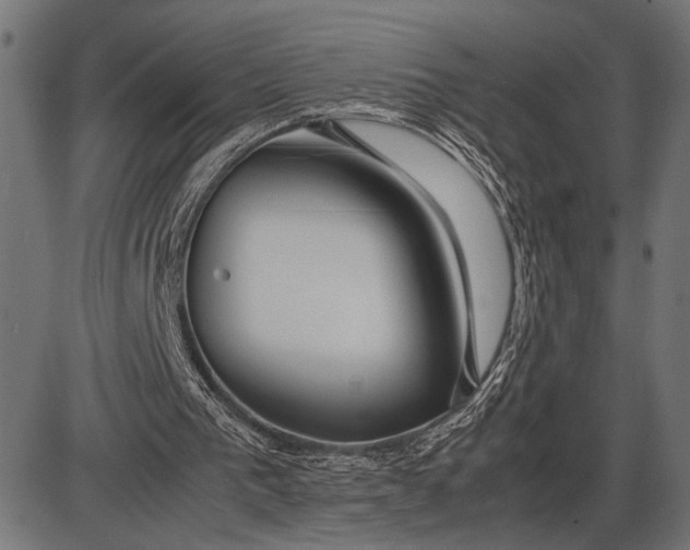 X0000086090193200704091335