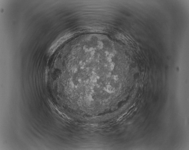 X0000086090194200704091335