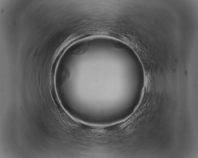 X0000086090195200704091335