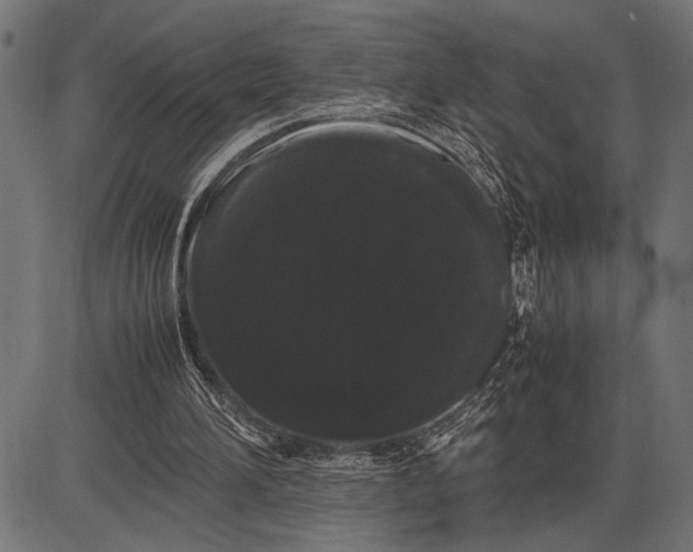 X0000086090196200704091335