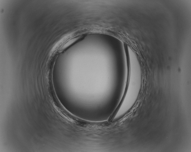 X0000086090197200704091335