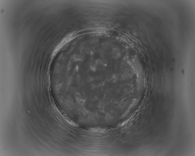 X0000086090198200704091335