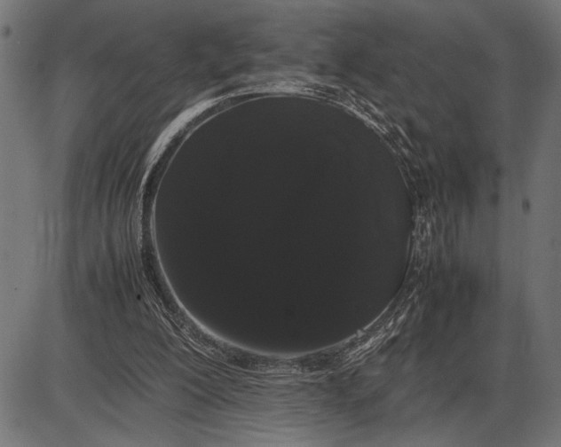 X0000086090200200704091335