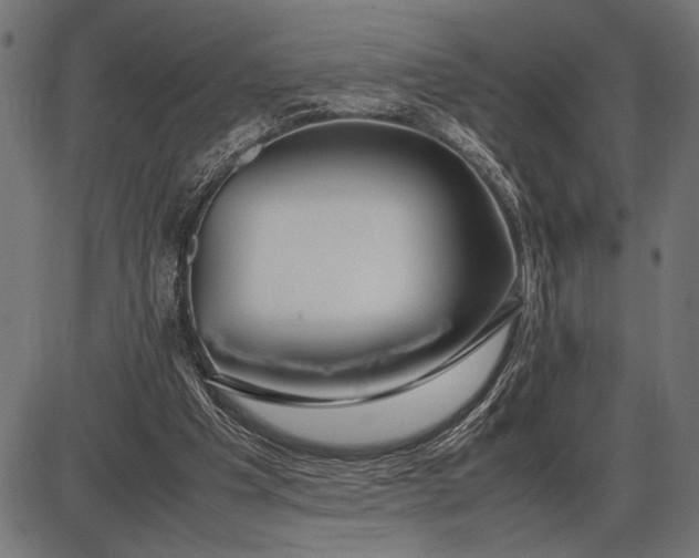 X0000086090201200704091335