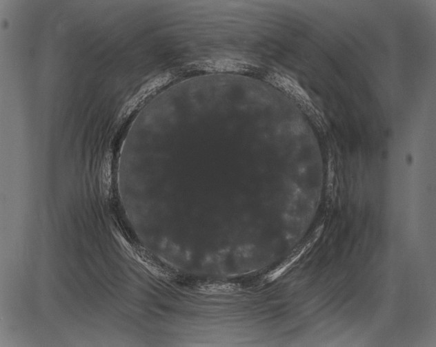 X0000086090202200704091335