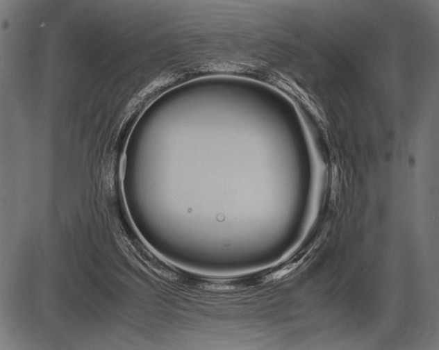 X0000086090203200704091335