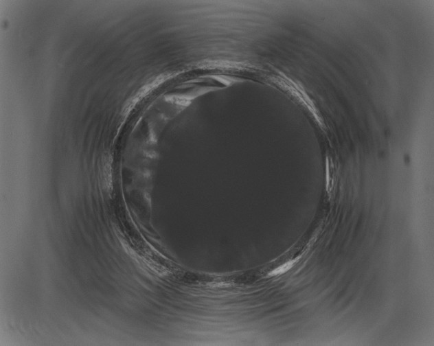 X0000086090204200704091335