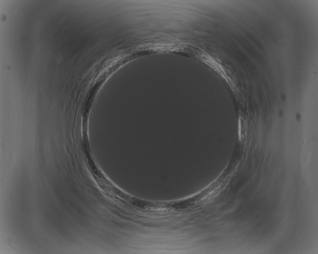 X0000086090205200704091335