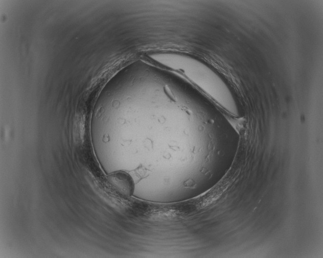 X0000086090206200704091335