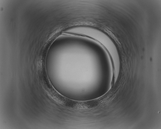 X0000086090207200704091335