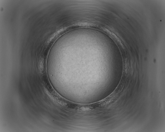 X0000086090208200704091335