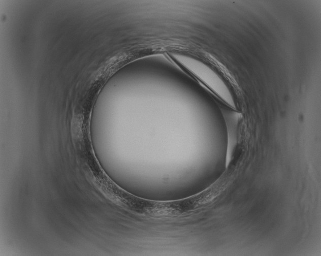 X0000086090209200704091335