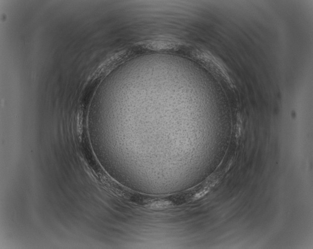 X0000086090210200704091335