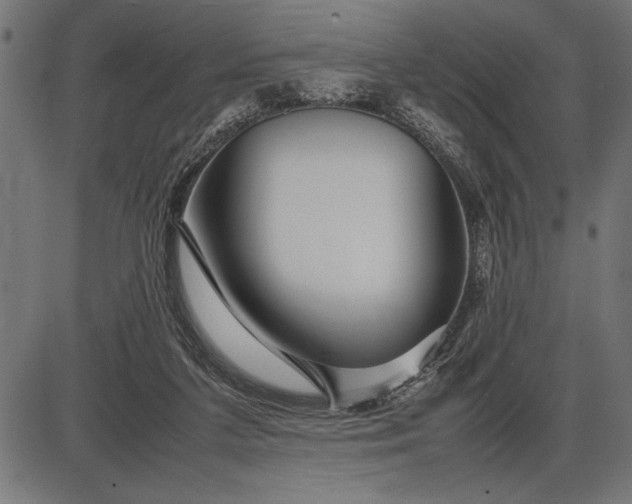 X0000086090211200704091335