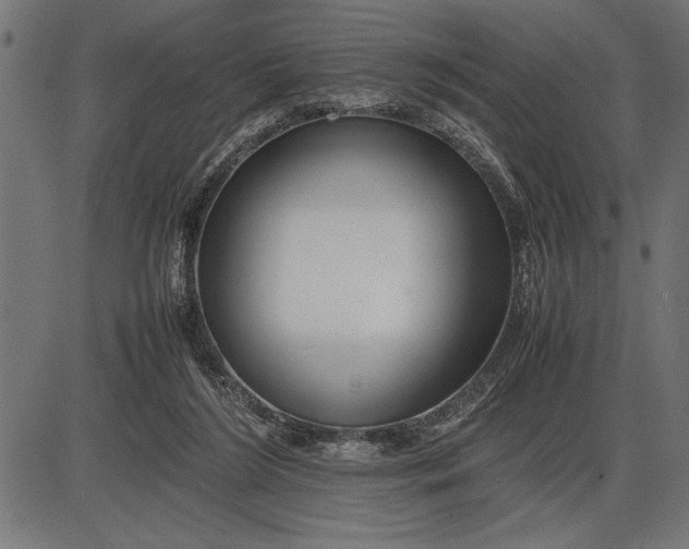 X0000086090212200704091335